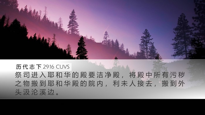 历 代 志 下 29:16 CUVS Bible Verse Image