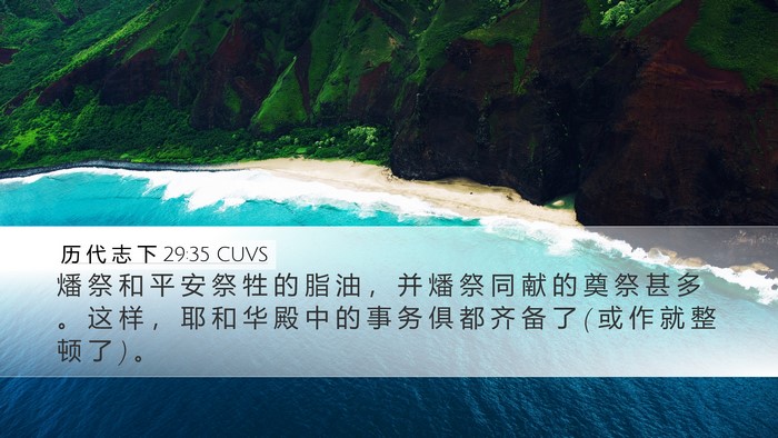 历 代 志 下 29:35 CUVS Desktop Wallpaper - 燔 祭 和 平 安 祭 牲 的 脂 油 ， 并 - Desktop Bible Verse Wallpaper