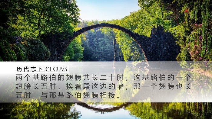 历 代 志 下 3:11 CUVS Bible Verse Image