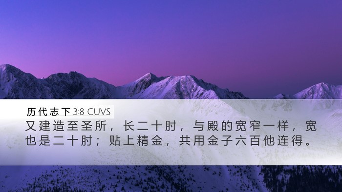 历 代 志 下 3:8 CUVS Bible Verse Image