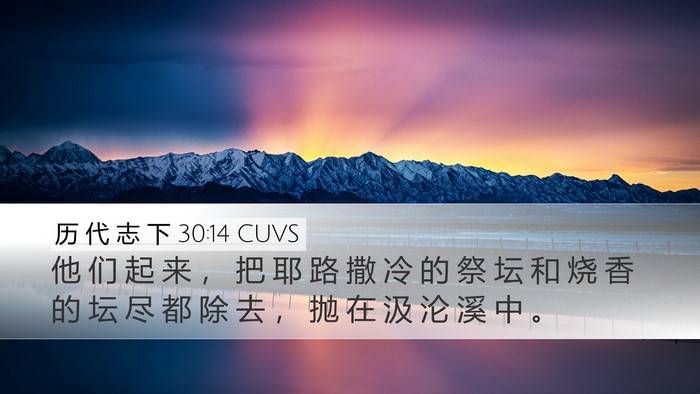 历 代 志 下 30:14 CUVS Bible Verse Image