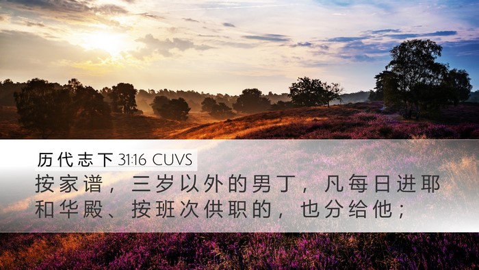历 代 志 下 31:16 CUVS Bible Verse Image