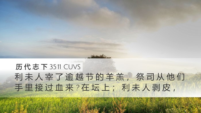 历 代 志 下 35:11 CUVS Bible Verse Image