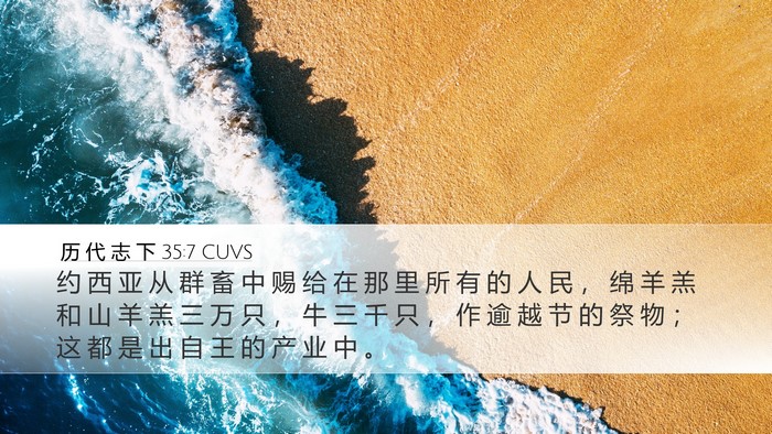 历 代 志 下 35:7 CUVS Bible Verse Image