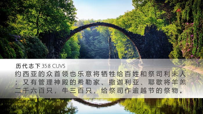 历 代 志 下 35:8 CUVS Bible Verse Image