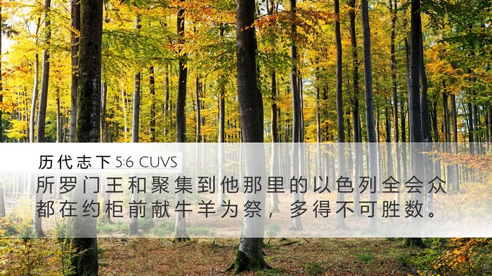 历 代 志 下 5:6 CUVS Bible Verse Image