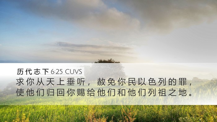 历 代 志 下 6:25 CUVS Desktop Wallpaper - 求 你 从 天 上 垂 听 ， 赦 免 你 民 - Desktop Bible Verse Wallpaper