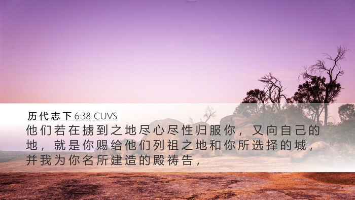 历 代 志 下 6:38 CUVS Bible Verse Image