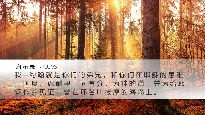 启 示 录 1:9 CUVS Bible Verse Image