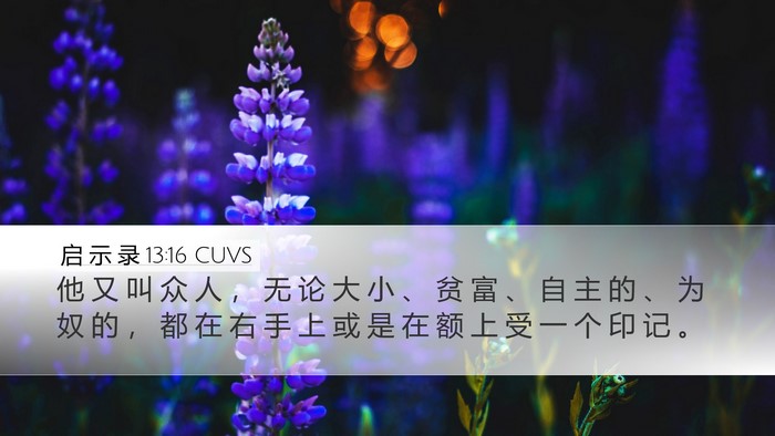 启 示 录 13:16 CUVS Bible Verse Image