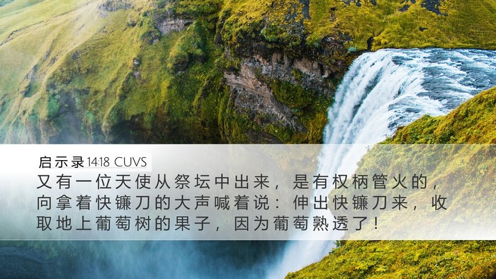 启 示 录 14:18 CUVS Bible Verse Image