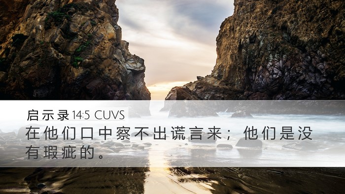 启 示 录 14:5 CUVS Bible Verse Image