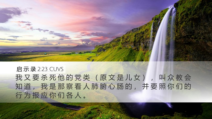 启 示 录 2:23 CUVS Bible Verse Image