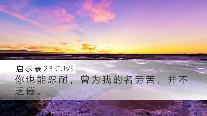 启 示 录 2:3 CUVS Bible Verse Image