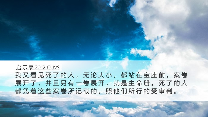 启 示 录 20:12 CUVS Bible Verse Image