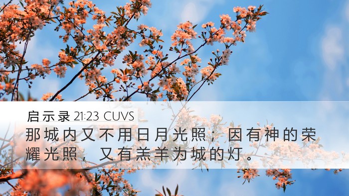 启 示 录 21:23 CUVS Bible Verse Image