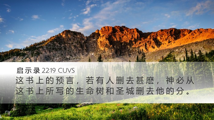 启 示 录 22:19 CUVS Bible Verse Image