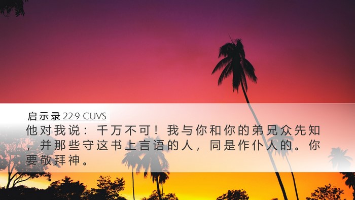 启 示 录 22:9 CUVS Bible Verse Image