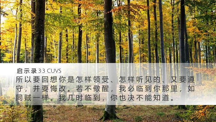 启 示 录 3:3 CUVS Bible Verse Image