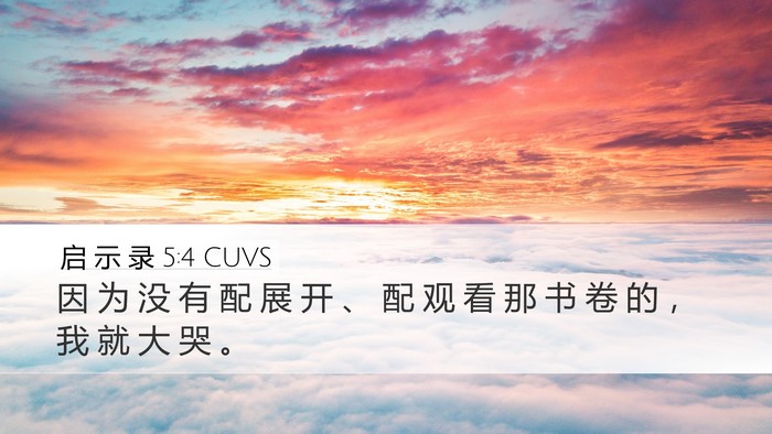 启 示 录 5:4 CUVS Desktop Wallpaper - 因 为 没 有 配 展 开 、 配 观 看 那 - Desktop Bible Verse Wallpaper
