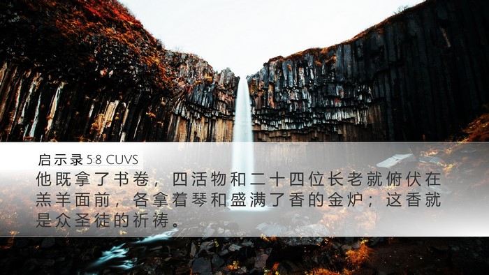 启 示 录 5:8 CUVS Bible Verse Image