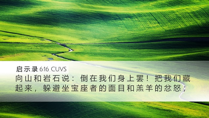 启 示 录 6:16 CUVS Bible Verse Image