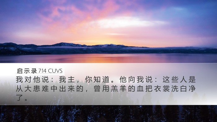 启 示 录 7:14 CUVS Bible Verse Image