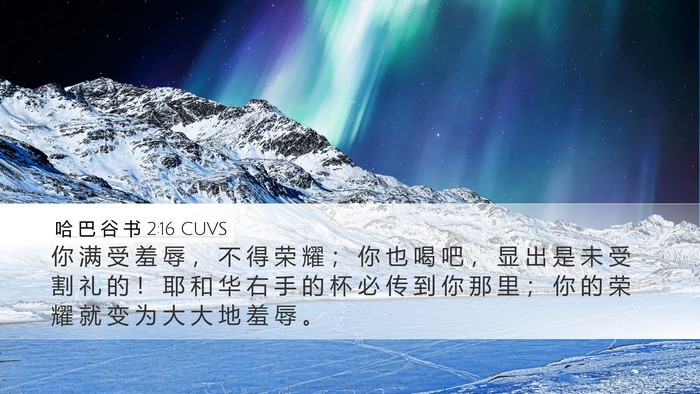 哈 巴 谷 书 2:16 CUVS Bible Verse Image