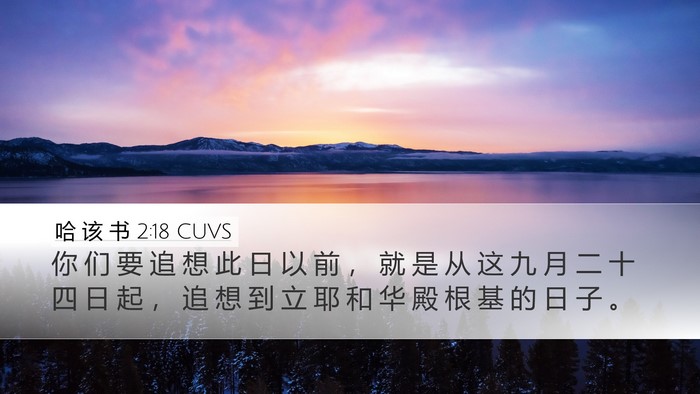 哈 该 书 2:18 CUVS Bible Verse Image