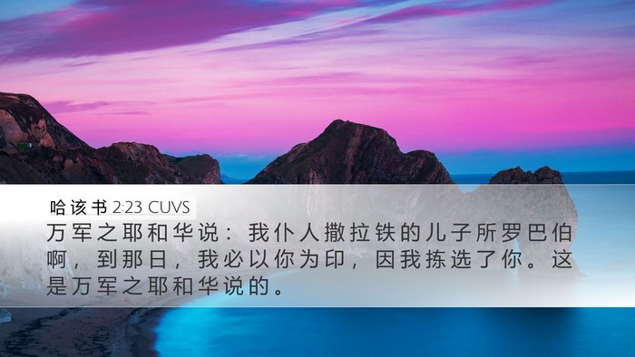 哈 该 书 2:23 CUVS Bible Verse Image