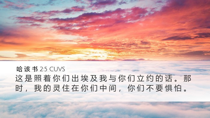 哈 该 书 2:5 CUVS Desktop Wallpaper - 这 是 照 着 你 们 出 埃 及 我 与 你 - Desktop Bible Verse Wallpaper
