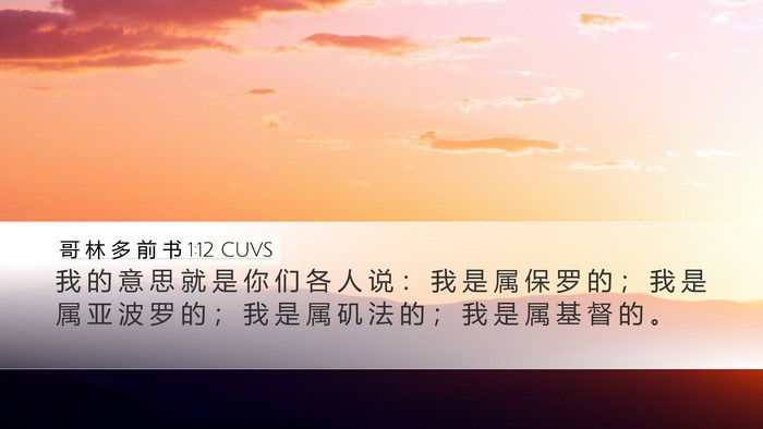 哥 林 多 前 书 1:12 CUVS Bible Verse Image