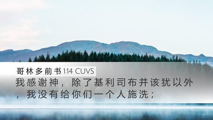 哥 林 多 前 书 1:14 CUVS Bible Verse Image