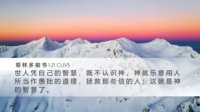 哥 林 多 前 书 1:21 CUVS Bible Verse Image