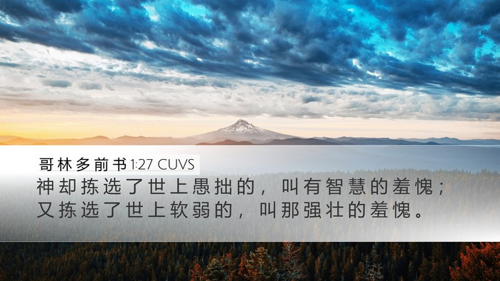 哥 林 多 前 书 1:27 CUVS Bible Verse Image