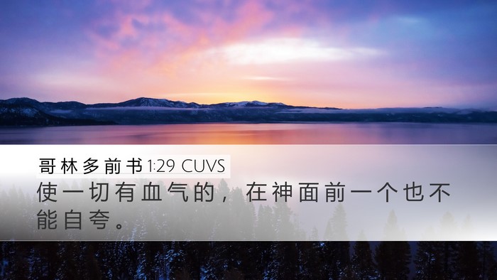哥 林 多 前 书 1:29 CUVS Bible Verse Image