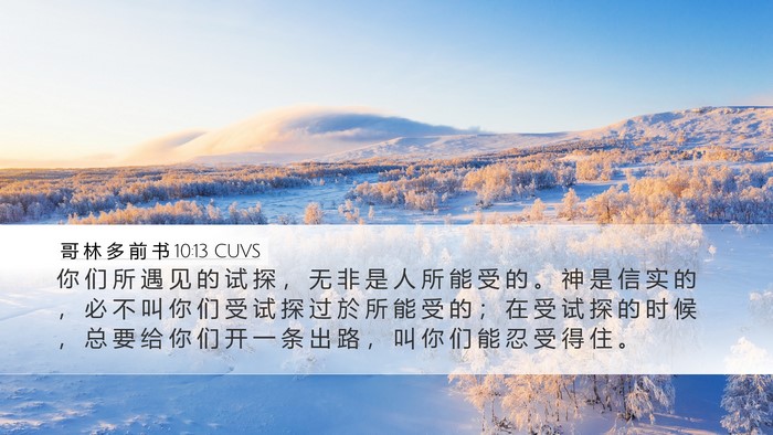哥 林 多 前 书 10:13 CUVS Bible Verse Image