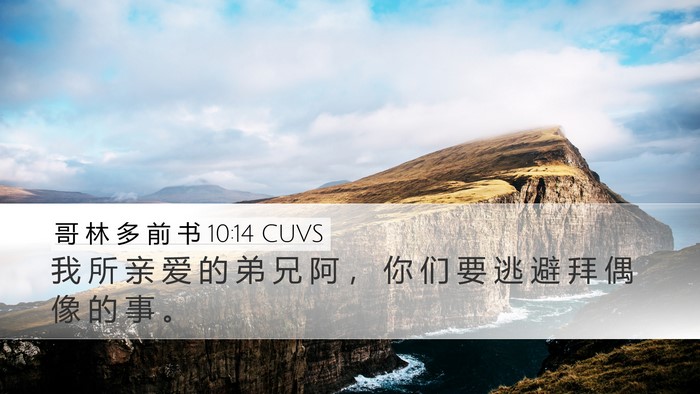 哥 林 多 前 书 10:14 CUVS Bible Verse Image