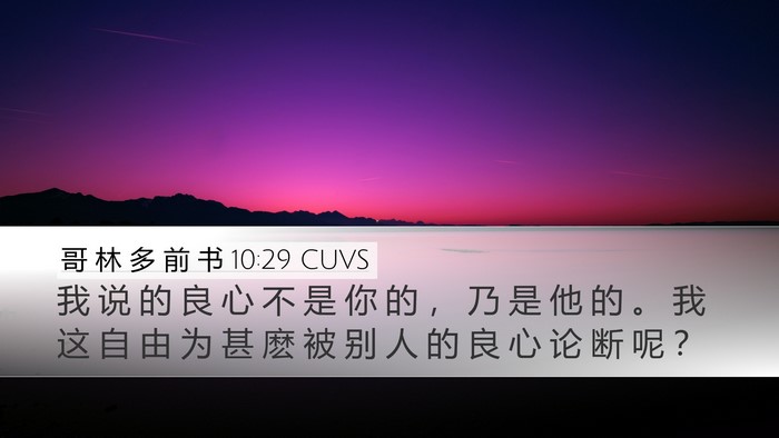 哥 林 多 前 书 10:29 CUVS Desktop Wallpaper - 我 说 的 良 心 不 是 你 的 ， 乃 是 - Desktop Bible Verse Wallpaper