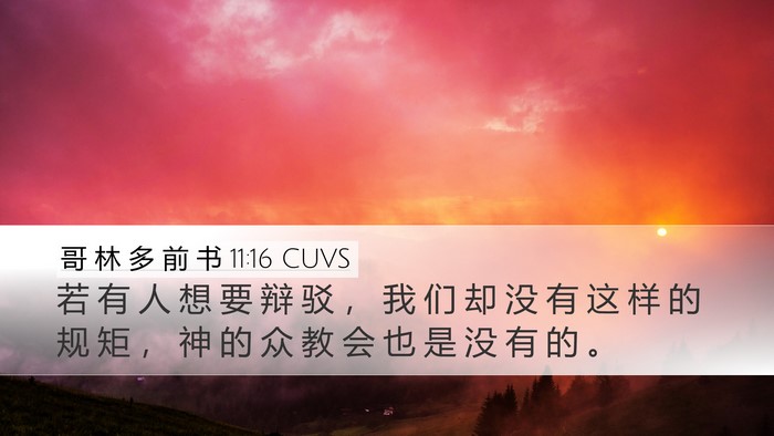 哥 林 多 前 书 11:16 CUVS Bible Verse Image