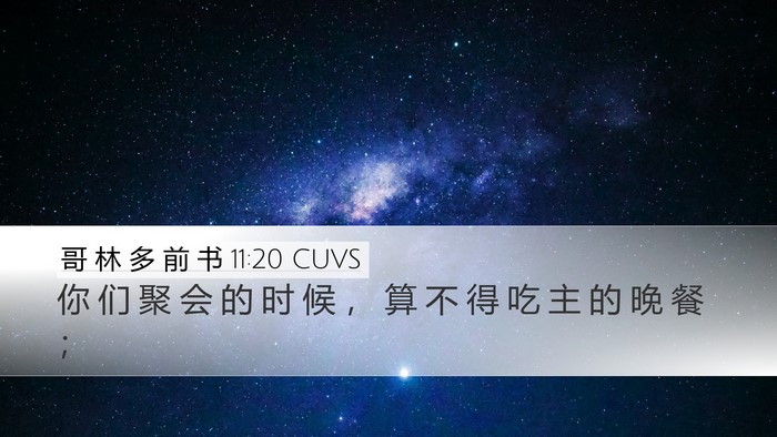 哥 林 多 前 书 11:20 CUVS Bible Verse Image