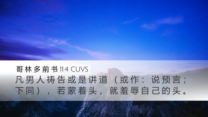 哥 林 多 前 书 11:4 CUVS Bible Verse Image
