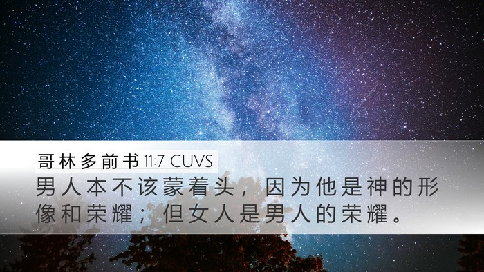 哥 林 多 前 书 11:7 CUVS Bible Verse Image