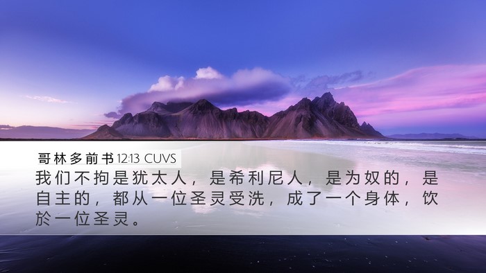 哥 林 多 前 书 12:13 CUVS Bible Verse Image