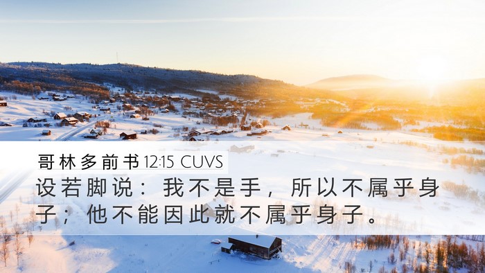 哥 林 多 前 书 12:15 CUVS Desktop Wallpaper - 设 若 脚 说 ： 我 不 是 手 ， 所 以 - Desktop Bible Verse Wallpaper