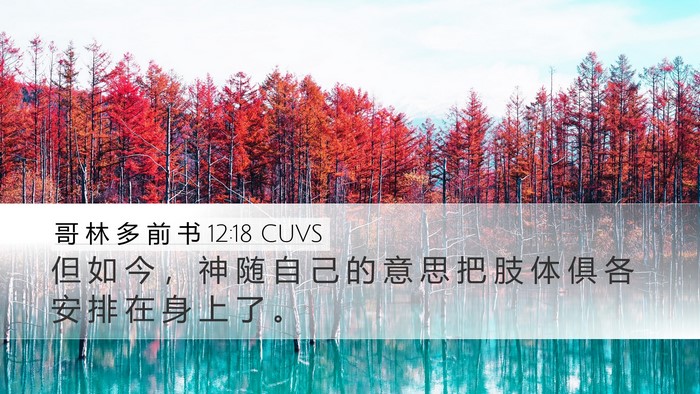 哥 林 多 前 书 12:18 CUVS Bible Verse Image