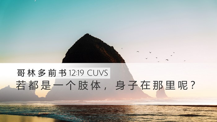 哥 林 多 前 书 12:19 CUVS Desktop Wallpaper - 若 都 是 一 个 肢 体 ， 身 子 在 那 - Desktop Bible Verse Wallpaper