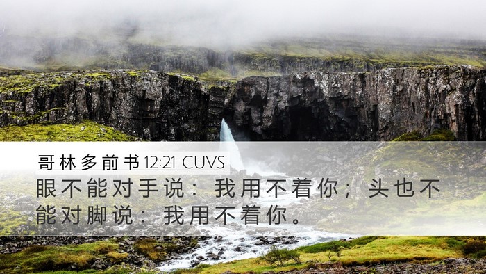 哥 林 多 前 书 12:21 CUVS Bible Verse Image