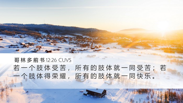 哥 林 多 前 书 12:26 CUVS Bible Verse Image