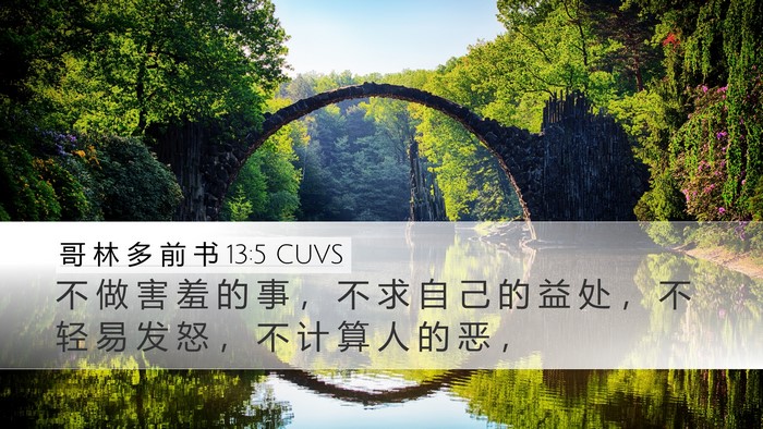 哥 林 多 前 书 13:5 CUVS Bible Verse Image